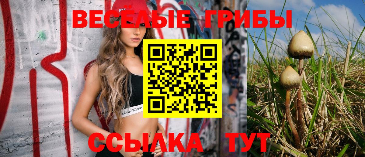 Галлюциногенные грибы MAGIC MUSHROOMS  где купить наркоту  Комсомольск-на-Амуре  Вход с VPN 